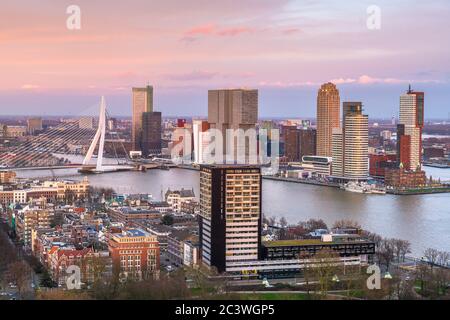 Rotterdam, Niederlande, Skyline der Stadt über dem Nieuwe Maas Fluss bei Dämmerung. Stockfoto