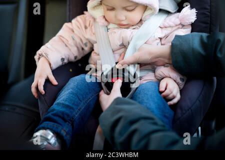 Die Hände der Mutter befestigen das Kind auf dem Autositz Stockfoto