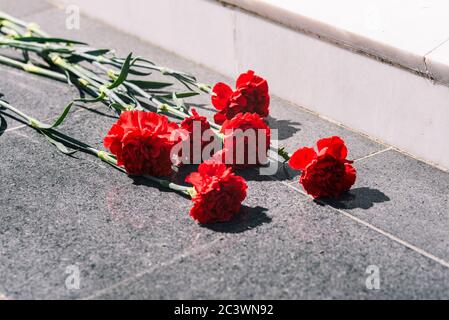 Nelken auf einer Marmorplatte Nahaufnahme. Blumen legen. Tag der Erinnerung und Trauer. Stockfoto