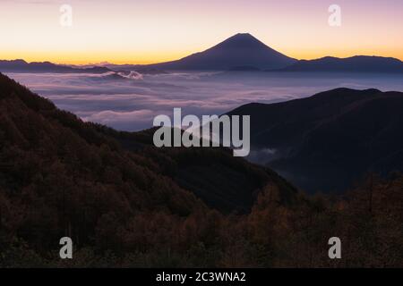 Mt. Fuji über einem Wolkenmeer bei Sonnenaufgang Stockfoto