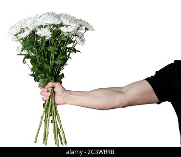 Bouquet von weißen Chrysanthemen in der Hand eines Mannes auf einem Weißer Hintergrund Stockfoto