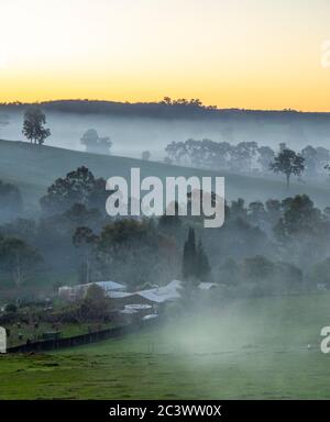 Bauernhaus von Nebel umgeben liegt in den Tälern der Hügel in der Landwirtschaft Region Balingup Western Australia Stockfoto