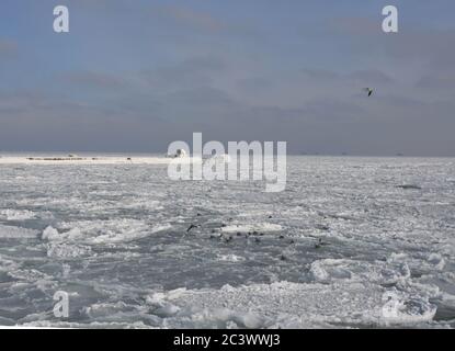 Gefrorenes Schwarzes Meer im Winter. Eisiger Pier unter einem verschneiten Himmel Stockfoto