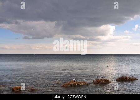 Bei bewölktem Wetter sitzen Möwen auf Steinen, die unter einer dicken Wolke aus dem Meer ragen Stockfoto