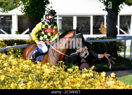 Giovanni Tiepolo, der von Jockey David Probert nach dem Gewinn des Sky Sports Racing Sky 415 Handicap auf der Windsor Racecourse gefahren wurde. Stockfoto