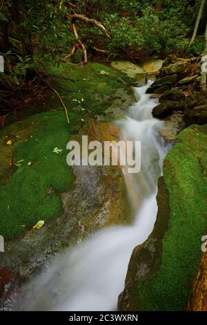 Wasserfall fließt durch einen schmalen moosbedeckten Felskanal. Stockfoto