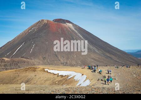 Touristen, die auf dem Tongariro Alpine Crossing mit dem Berg Ngauruhoe im Hintergrund spazieren Stockfoto