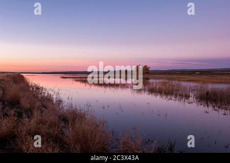 Teich am frühen Morgen, Bosque Del Apache National Wildlife Refuge, New Mexiko USA Stockfoto