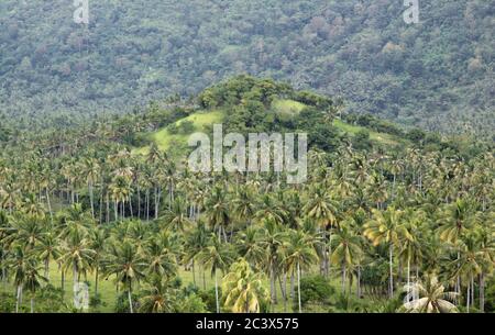 Palmen und Hügel bei Setangi, in der Nähe von Senggigi, Lombok, Indonesien. Exotischer tropischer Zielstrand auf der Insel Stockfoto