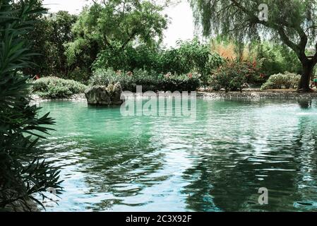 Wunderschöne Landschaft mit einem Teich umgeben von grünen Bäumen in einem Park in Marbella, Spanien. Reflexion im sauberen Wasser an einem sonnigen Tag. Friedliche Szene Stockfoto