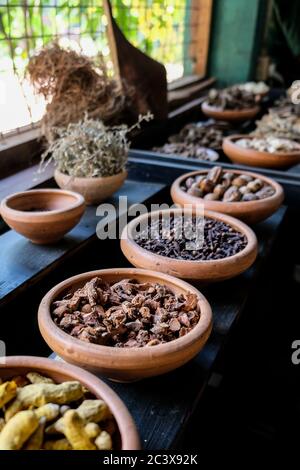 Verschiedene Gewürze auf einem Tisch drinnen in Spice Garden, Kandy, Sri Lanka. Schalen mit Kurkuma, Zimt und anderen natürlichen Aromen für die Zubereitung von Speisen Stockfoto