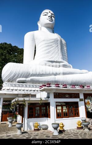 Riesige weiße Buddha Statue Bahirawakanda in Kandy, Sri Lanka. Aufgenommen von unten mit einem hellen blauen Himmel Hintergrund. Innen auf dem lokalen Tempelterritorium. Stockfoto