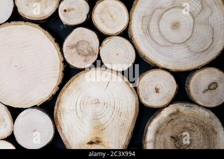 Nahaufnahme des Holzholzzlogs. Einzigartige Kreise aus alten Bäumen. Kreative moderne Innenarchitektur Idee für Haus Wanddekoration. Abstraktes Nahaufnahme Holz Stockfoto