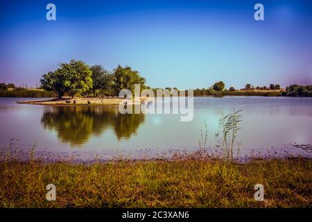 Al Qudra Lake in Dubai, VAE Stockfoto