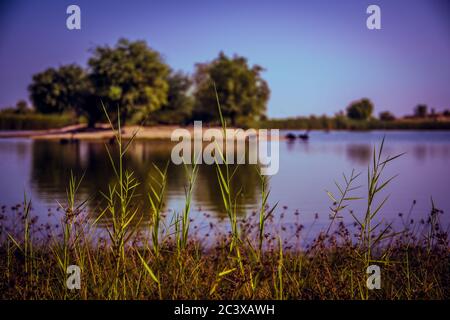 Al Qudra Lake in Dubai, VAE Stockfoto