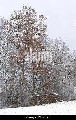 Winterlandschaft mit Holzstapel Stockfoto