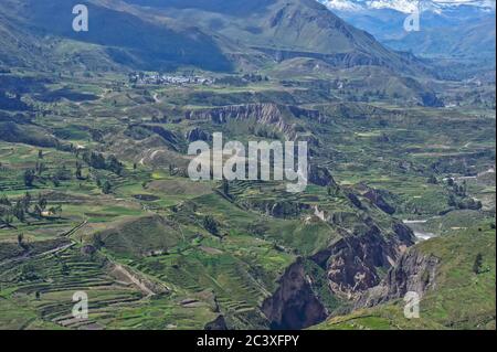 Colca Tal, Arequipa, Peru, Südamerika Stockfoto