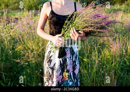 Junge Frau, die auf dem Feld zur Sonne steht und einen Strauß lila Blüten hält. Stockfoto