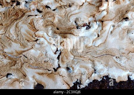 Hausgemachten Krümelkuchen mit Erdbeermarmelade mit Baiser bedeckt. Streuselkuchen, Background, Textur, Draufsicht Stockfoto