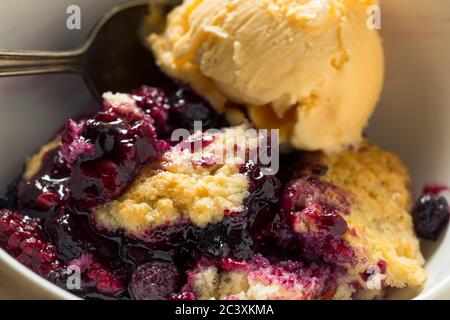 Hausgemachter Beerenkobolde mit Eiscreme bereit zum Essen Stockfoto