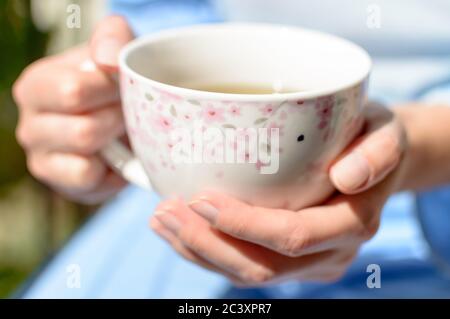 Eine Frau hält eine Tasse heißen Tee in den Händen im Sonnenschein Stockfoto