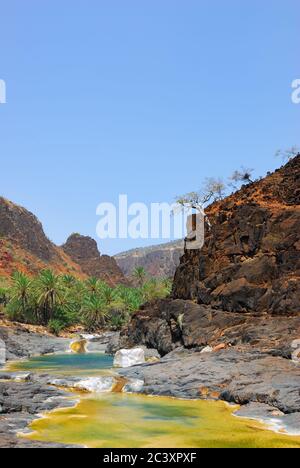 Jemen. Schönste Schlucht auf der Insel Socotra Wadi Dirhur. Mountain River zwischen Roks Stockfoto