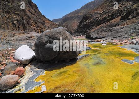 Jemen. Schönste Schlucht auf der Insel Socotra Wadi Dirhur. Mountain River zwischen Roks Stockfoto