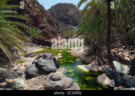 Jemen. Schönste Schlucht auf der Insel Socotra Wadi Dirhur. Mountain River zwischen Roks Stockfoto