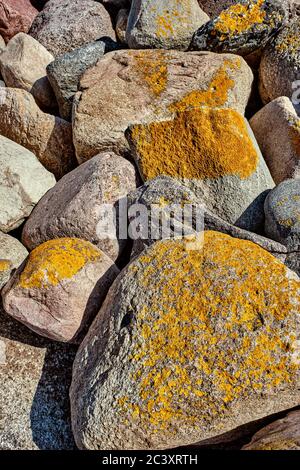 Große Steine an der Ostseeküste als Hintergrund. Stockfoto