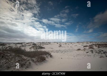 Küstenwüstenlandschaft von Sotavento de Jadia in Fuerteventura mit Sanddüne Stockfoto