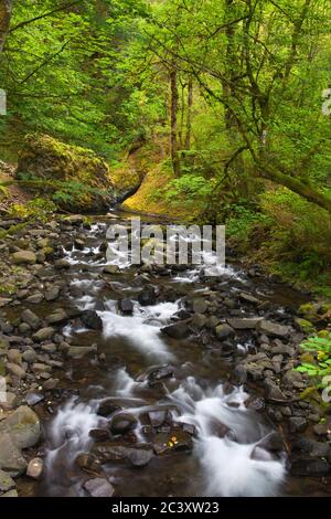 Bridal Veil Creek in der Columbia River Gorge, größere Portland Region, Oregon, USA Stockfoto