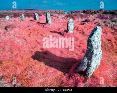 Tregeseal Stone Circle, Ancient Site, Cornwall Großbritannien Stockfoto