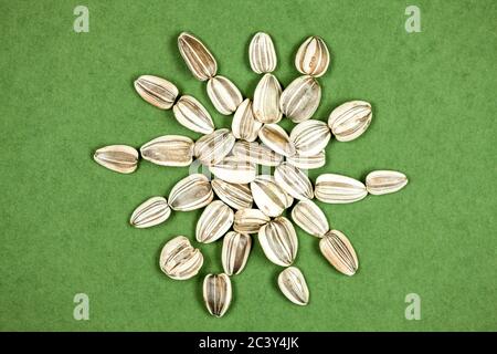 Graue Streifen Sonnenblumenkerne auf grünem Hintergrund im Studio Stockfoto