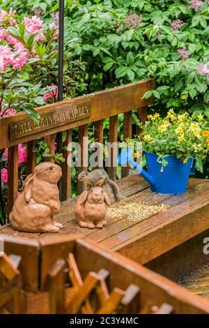 Douglas' Eichhörnchen, das Erdnüsse isst, während es im Regen auf einer Kaninchenstatue in Issaquah, Washington, USA sitzt. Neben dem Rhododendron-Busch Pflanzen Stockfoto