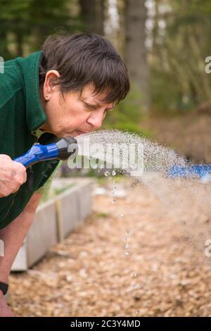 Gärtnerin, die einen Drink aus einem Schlauch nimmt, mit einem erhöhten Gemüsegarten im Hintergrund, in Issaquah, Washington, USA Stockfoto