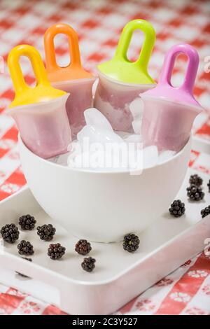 Vier hausgemachte Brombeerpopsicles in einer weißen Schüssel mit Eis, in einem weißen Tablett mit frischen Brombeeren, die auf einem Tisch mit einem roten und weißen Lch bedeckt ruhen Stockfoto