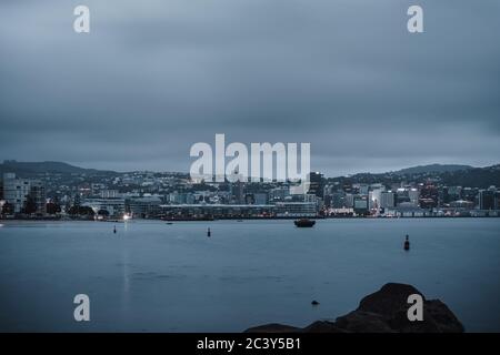 Wellington Stadt und Hafen am Morgen Stockfoto