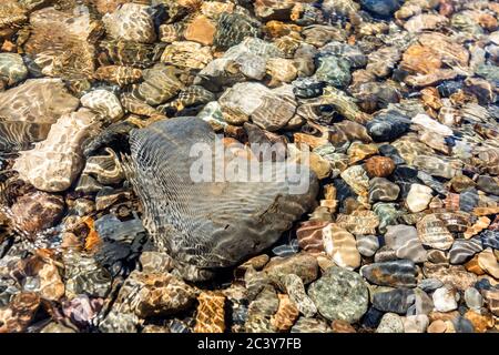 Herzförmiger Felsen im Big Wood River Stockfoto
