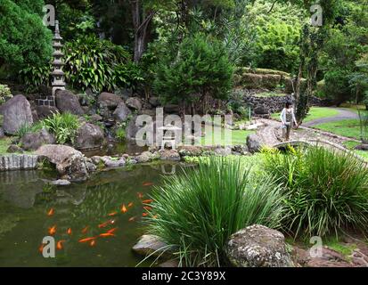 Ein japanischer Garten mit einem Koi-Teich im IAO Valley State Park auf Maui, Hawaii. Stockfoto