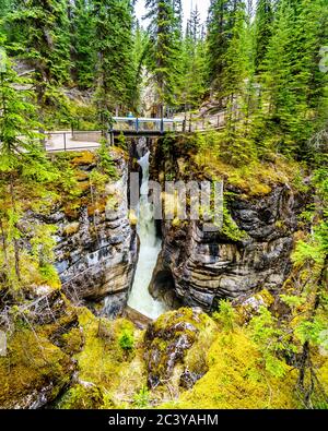 Dritte Brücke über den Maligne Canyon im Jasper National Park in Alberta, Kanada Stockfoto