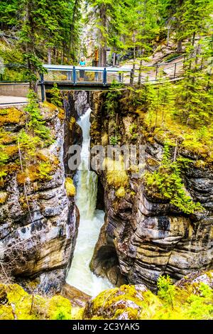 Dritte Brücke über den Maligne Canyon im Jasper National Park in Alberta, Kanada Stockfoto