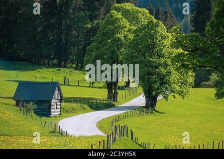 Landschaftlich reizvolle Aussicht auf eine idyllische Alm auf den Schladminger Tauern nahe dem Steirischen Bodensee, Schladminger Region, Steiermark, Österreich Stockfoto