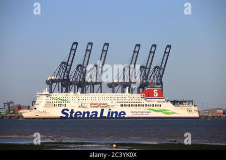 Stena Line Fähre Stena Britannica beim Einfahren in Harwich/Felixstowe auf dem Weg zum Parkstone Quay. Stockfoto