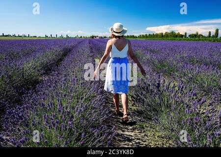 Mädchen und Lavendelfeld im Po-Delta Stockfoto