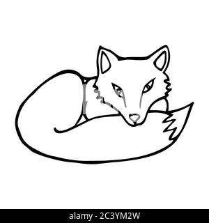 Handgezeichneter Fuchs. Cartoon Fuchs skizzieren Doodle Stil. Vektor transparente Illustration isoliert auf weißem Hintergrund. Dekoration für Grußkarten, Poster Stock Vektor