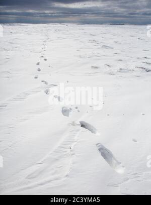 Eine Spur tiefer Spuren im Schnee durch eine flache, düstere Moorlandschaft Stockfoto