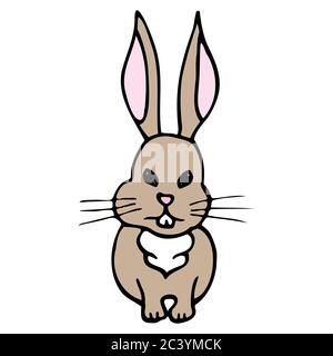 Handgezeichneter farbenfroher Hase. Cartoon Farbe Hase skizzieren Doodle Stil. Vektordarstellung isoliert auf weißem Hintergrund. Dekoration für Grußkarten Stock Vektor