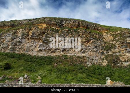 Eine Schar von Möwen auf der Klippe unterhalb von Scarborough Castle an der Küste Stockfoto