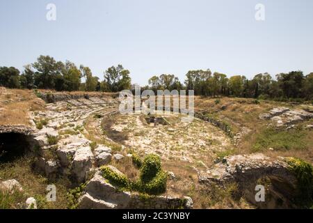 Römisches Amphitheater in Syrakus. Die Vegetation erstreckt sich über die Stufen des Theaters und der Arena Stockfoto