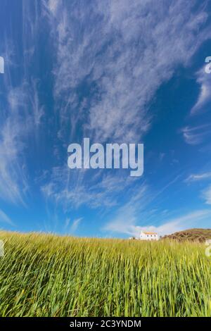 In der Nähe von Villanueva de San Juan, Provinz Sevilla, Andalusien, Südspanien. Bauernhaus über dem Weizenfeld gesehen. Landwirtschaft. Anbau von Kulturpflanzen. Stockfoto